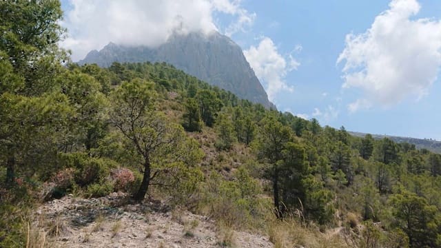 Grunde uden byggetilladelser til salg i Finestrat Pueblo, Finestrat - € 99.000 (Ref: 3988209)