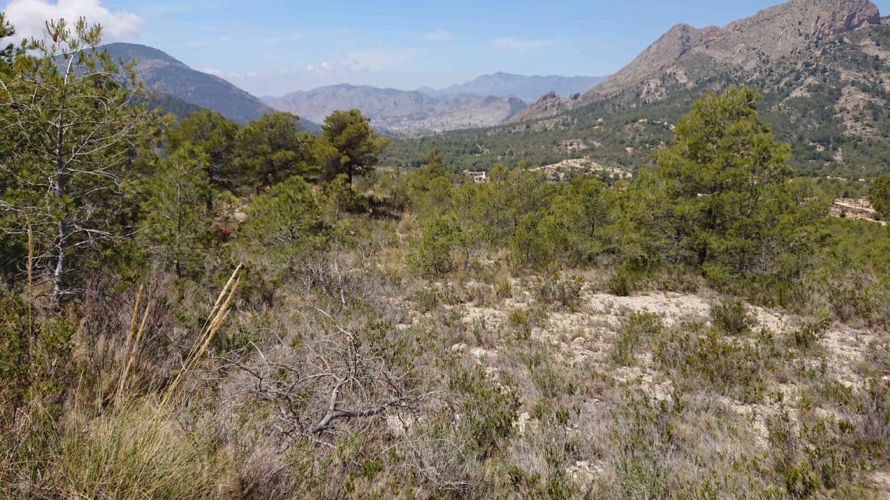 Teren niezagospodarowany na sprzedaż w Finestrat - 99 000 € (Ref: 3988209)