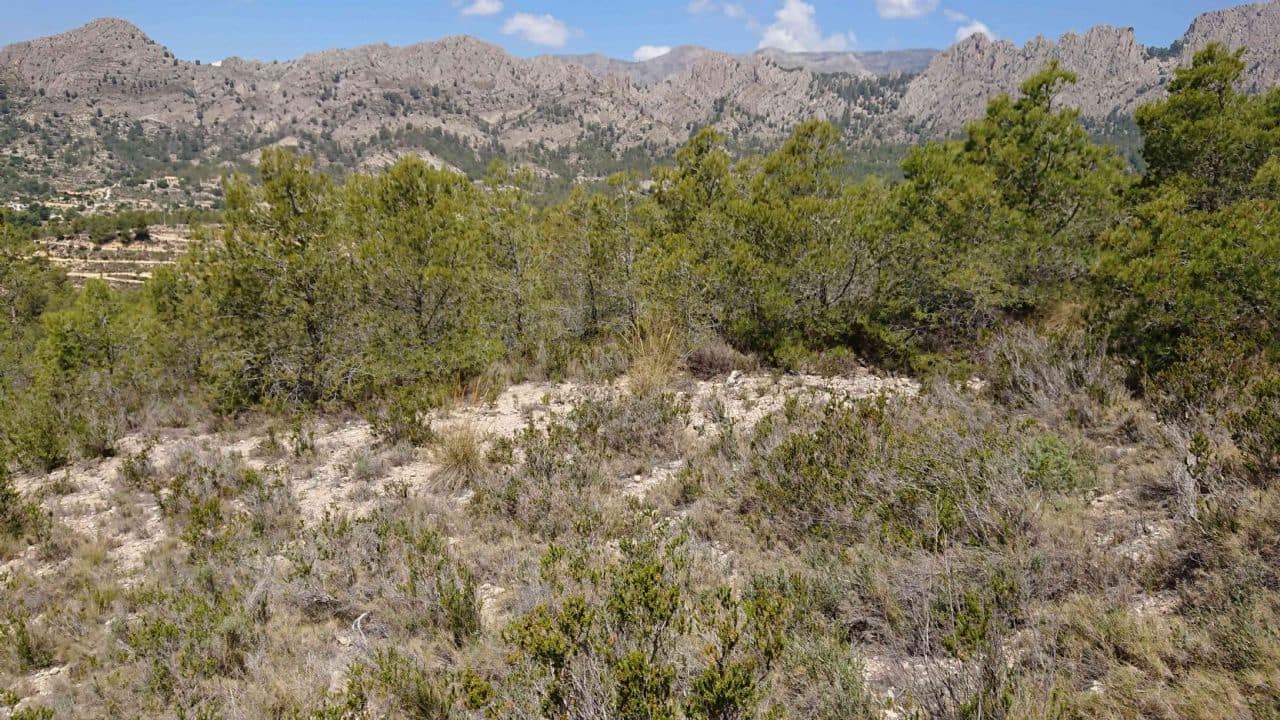 Teren niezagospodarowany na sprzedaż w Finestrat - 99 000 € (Ref: 3988209)