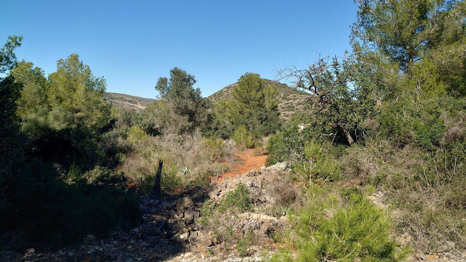 3 bedroom Finca/Country House for sale in Benissa - € 180,000 (Ref: 4159360)