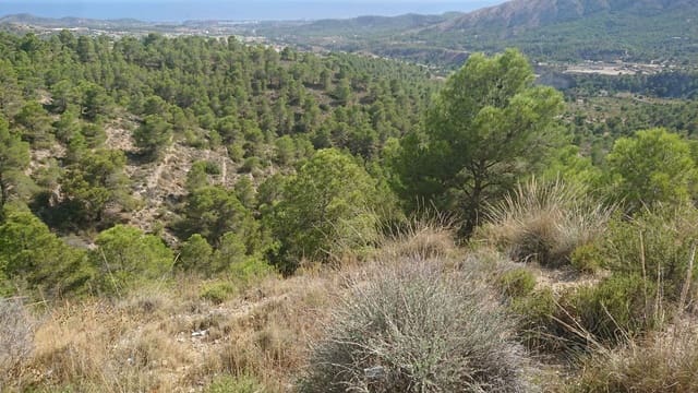 Grond te koop in Finestrat Pueblo, Finestrat - € 79.500 (Ref: 4856889)