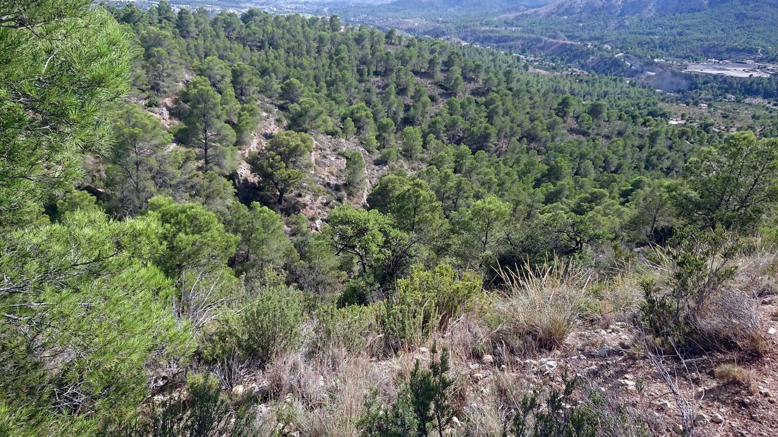 Grunde uden byggetilladelser til salg i Finestrat - € 79.500 (Ref: 4856889)