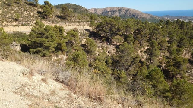 Grond te koop in Finestrat Pueblo, Finestrat - € 79.500 (Ref: 4856889)