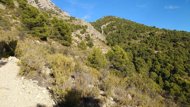 Grunde uden byggetilladelser til salg i Finestrat Pueblo, Finestrat - € 85.000 (Ref: 5827728)