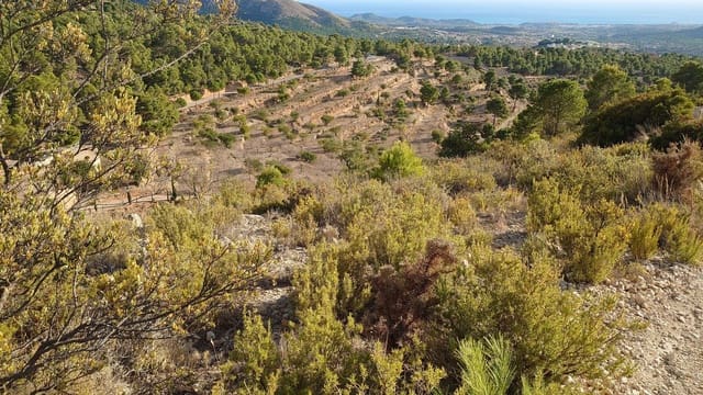 Grunde uden byggetilladelser til salg i Finestrat Pueblo, Finestrat - € 85.000 (Ref: 5827728)