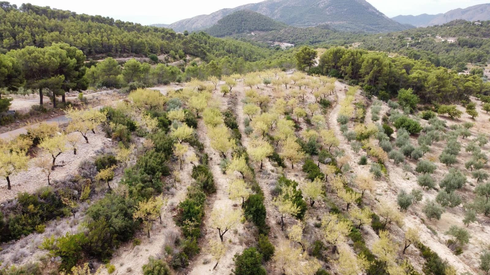 Grond te koop in Finestrat - € 86.000 (Ref: 6801558)