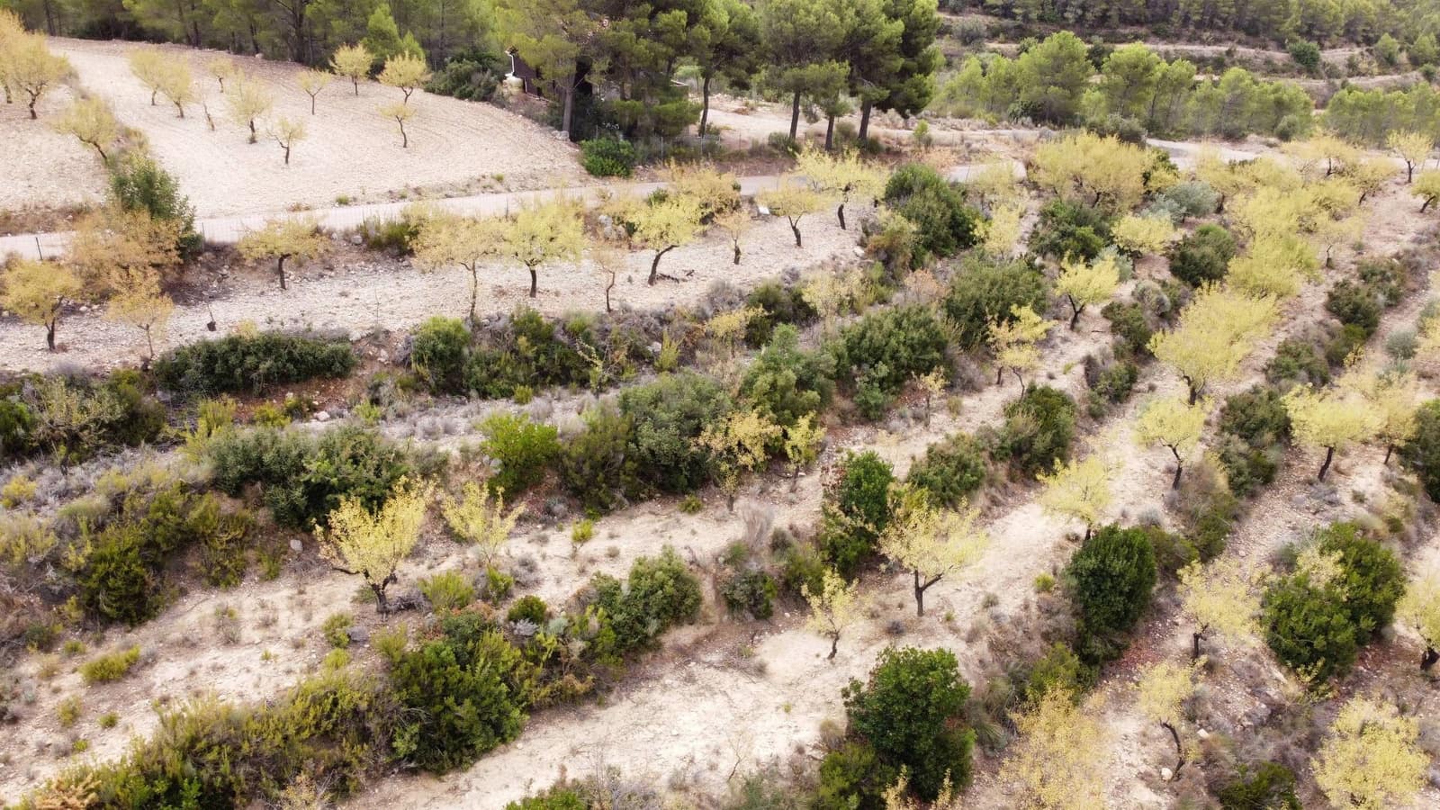 Grond te koop in Finestrat - € 86.000 (Ref: 6801558)