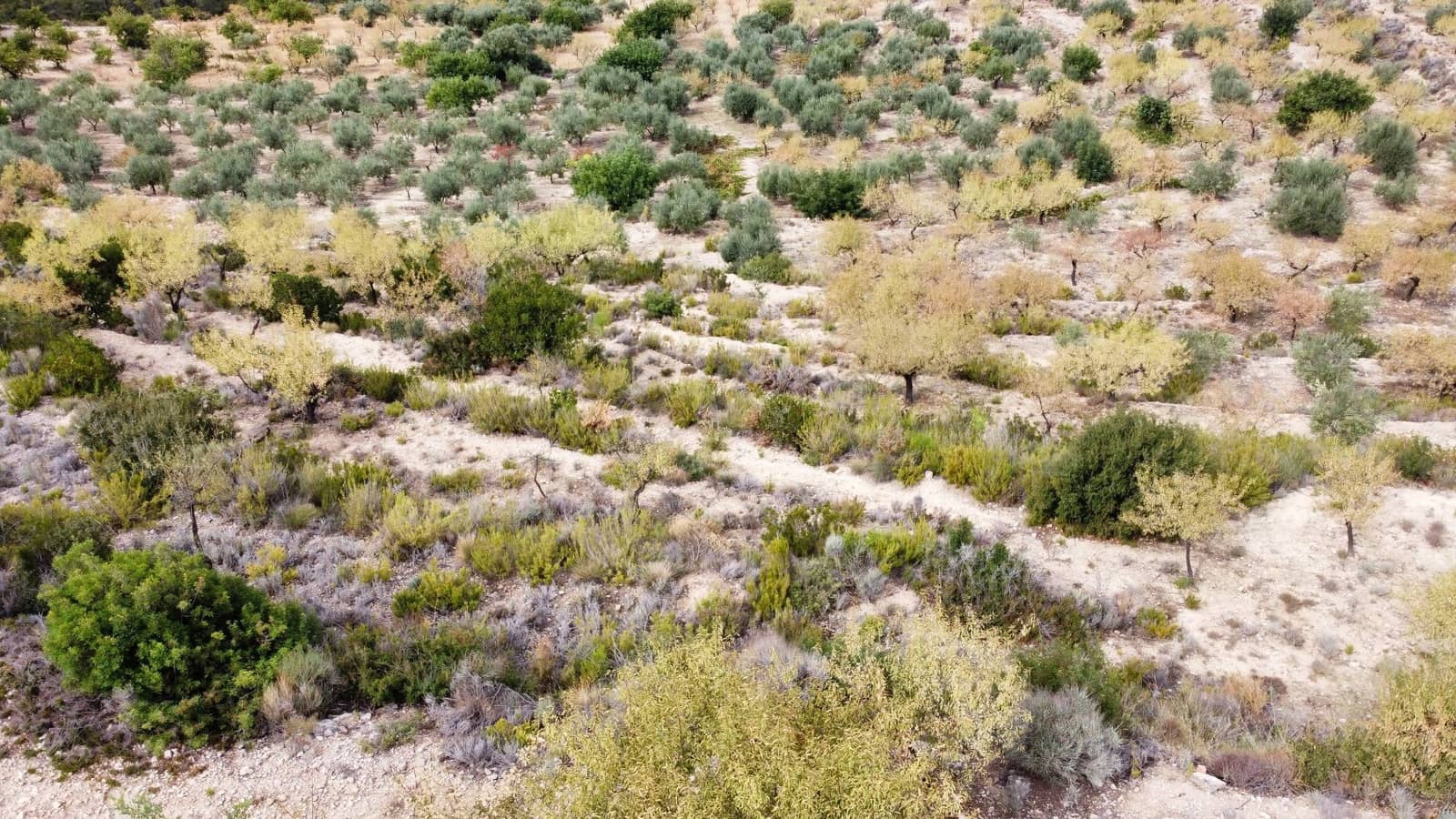 Grond te koop in Finestrat - € 86.000 (Ref: 6801558)