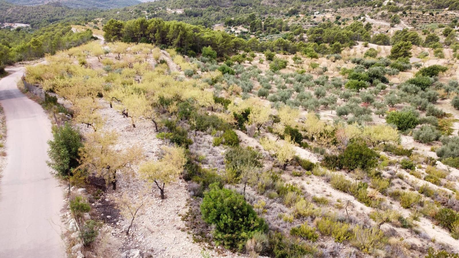 Grond te koop in Finestrat - € 86.000 (Ref: 6801558)