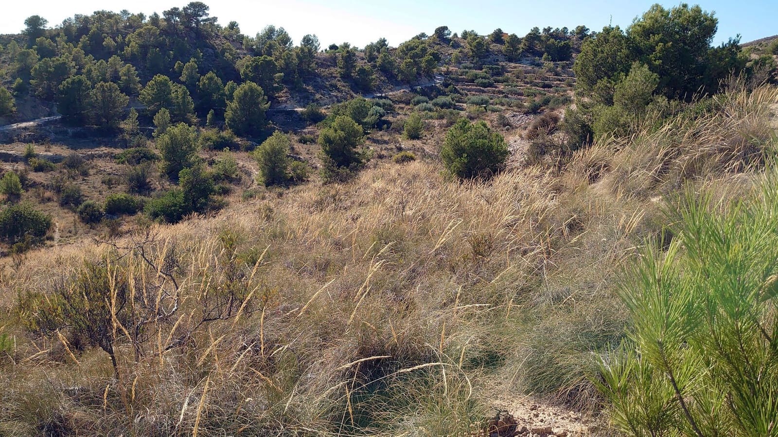 Terreno Non Edificato in vendita in La Villajoyosa / Vila Joiosa - 500.000 € (Rif: 7284996)