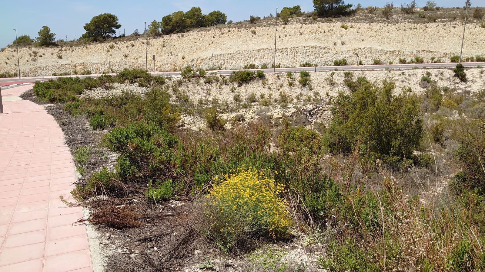 Grunde uden byggetilladelser til salg i Finestrat - € 630.000 (Ref: 7495633)