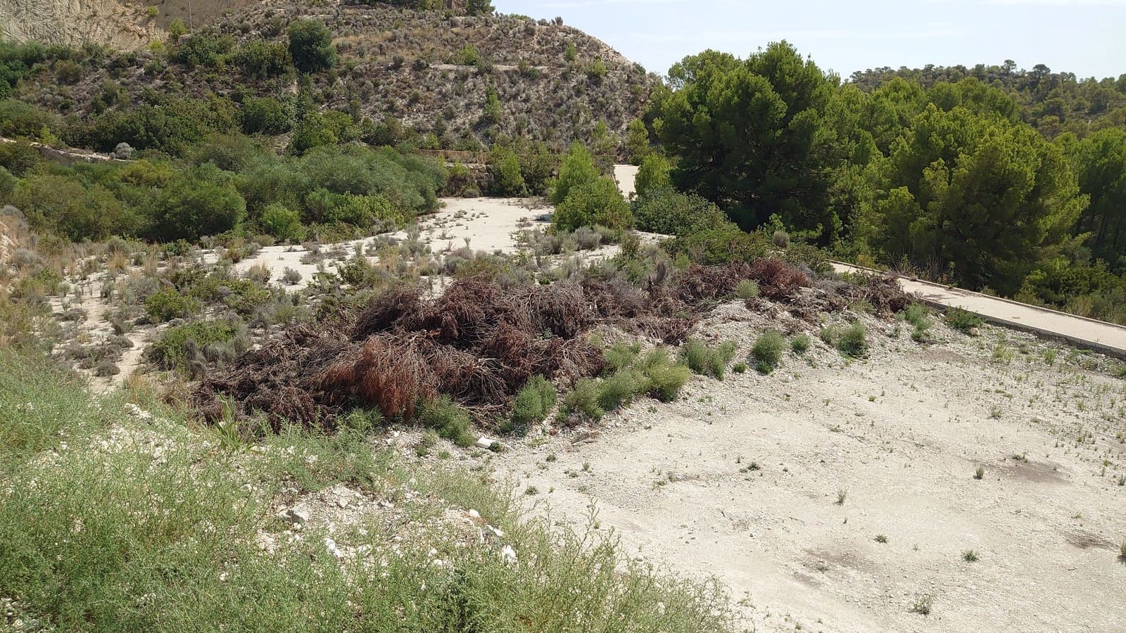 Grunde uden byggetilladelser til salg i Finestrat - € 664.854 (Ref: 7820223)