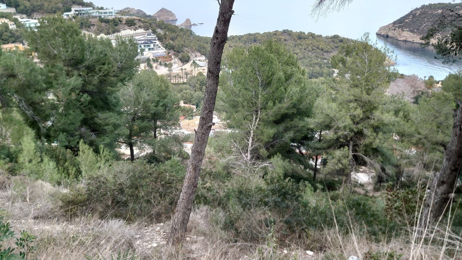 Teren niezagospodarowany na sprzedaż w Javea / Xabia - 3 500 000 € (Ref: 8102607)