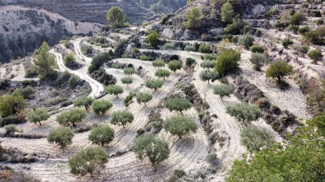 3 bedroom Finca/Country House for sale in Relleu - € 190,000 (Ref: 8687327)