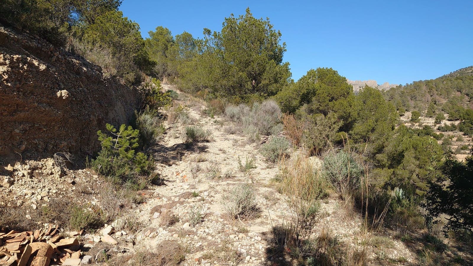 1 sypialnia Finka/Dom wiejski na sprzedaż w Finestrat - 201 000 € (Ref: 8769915)