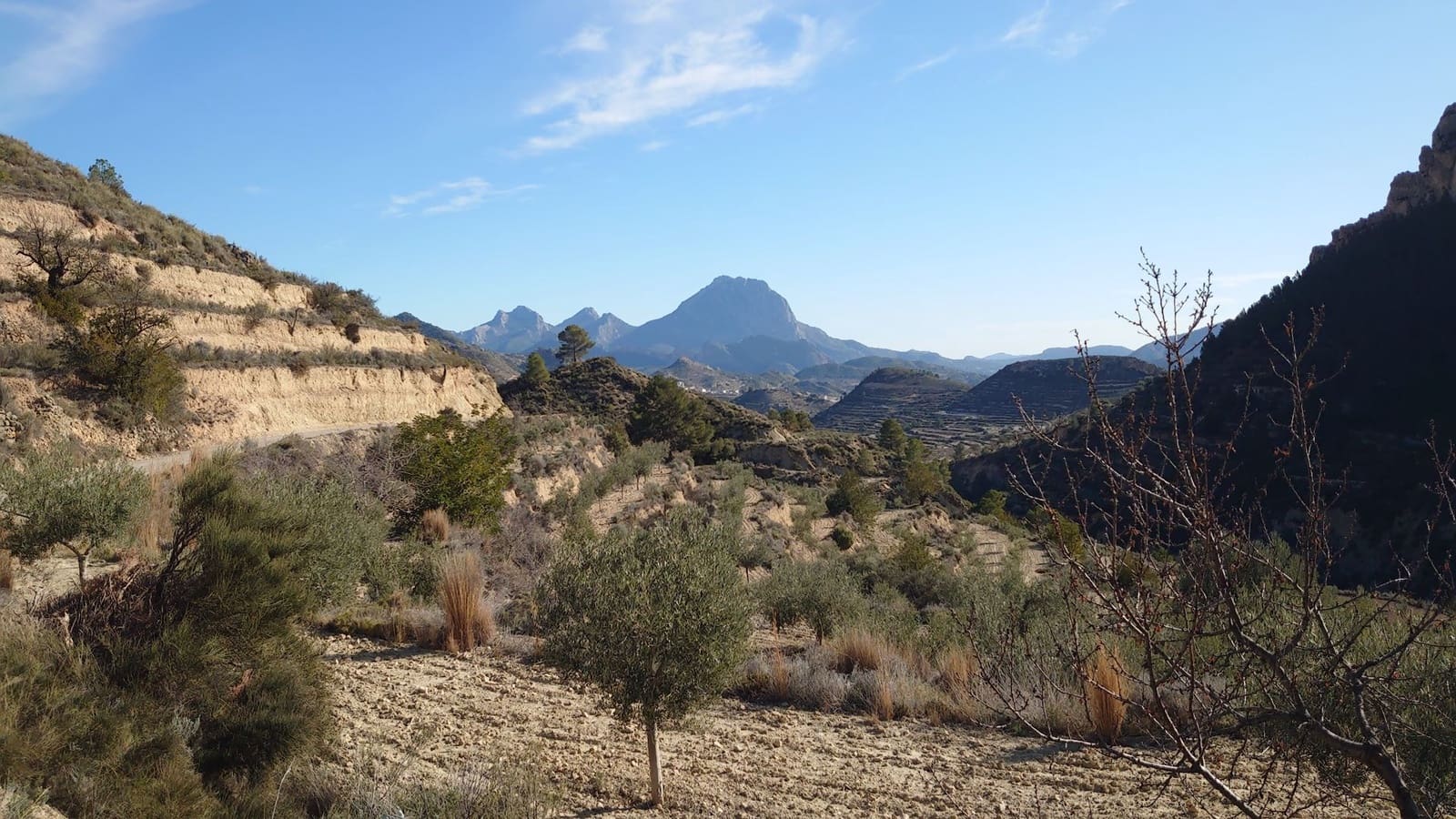 Mark till salu i Relleu - 53 000 € (Ref: 8773199)