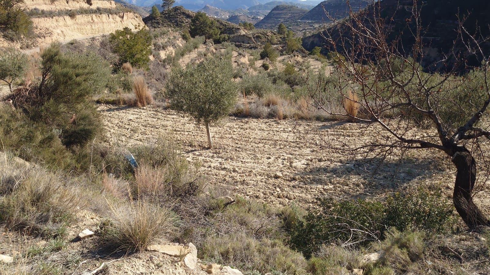 Mark till salu i Relleu - 53 000 € (Ref: 8773199)