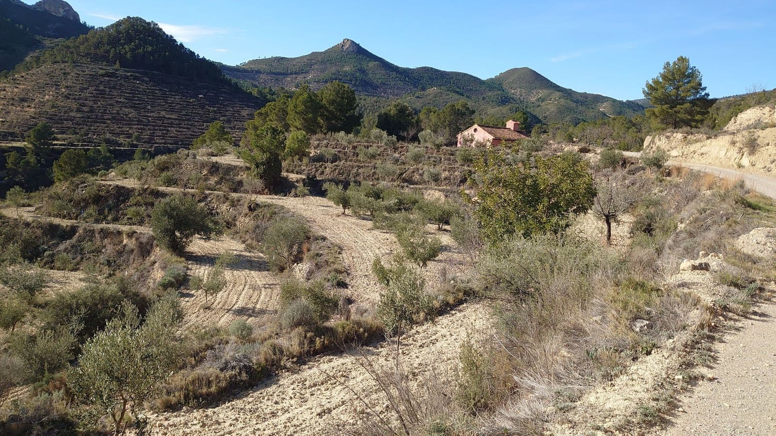 Mark till salu i Relleu - 53 000 € (Ref: 8773199)