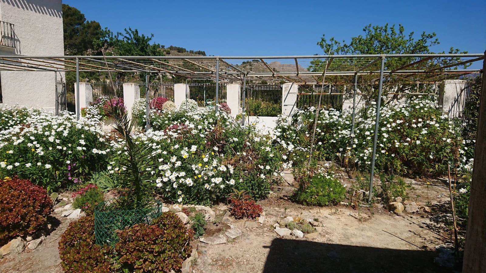 10 slaapkamer Finca/Landhuis te koop in Relleu - € 577.000 (Ref: 8789124)