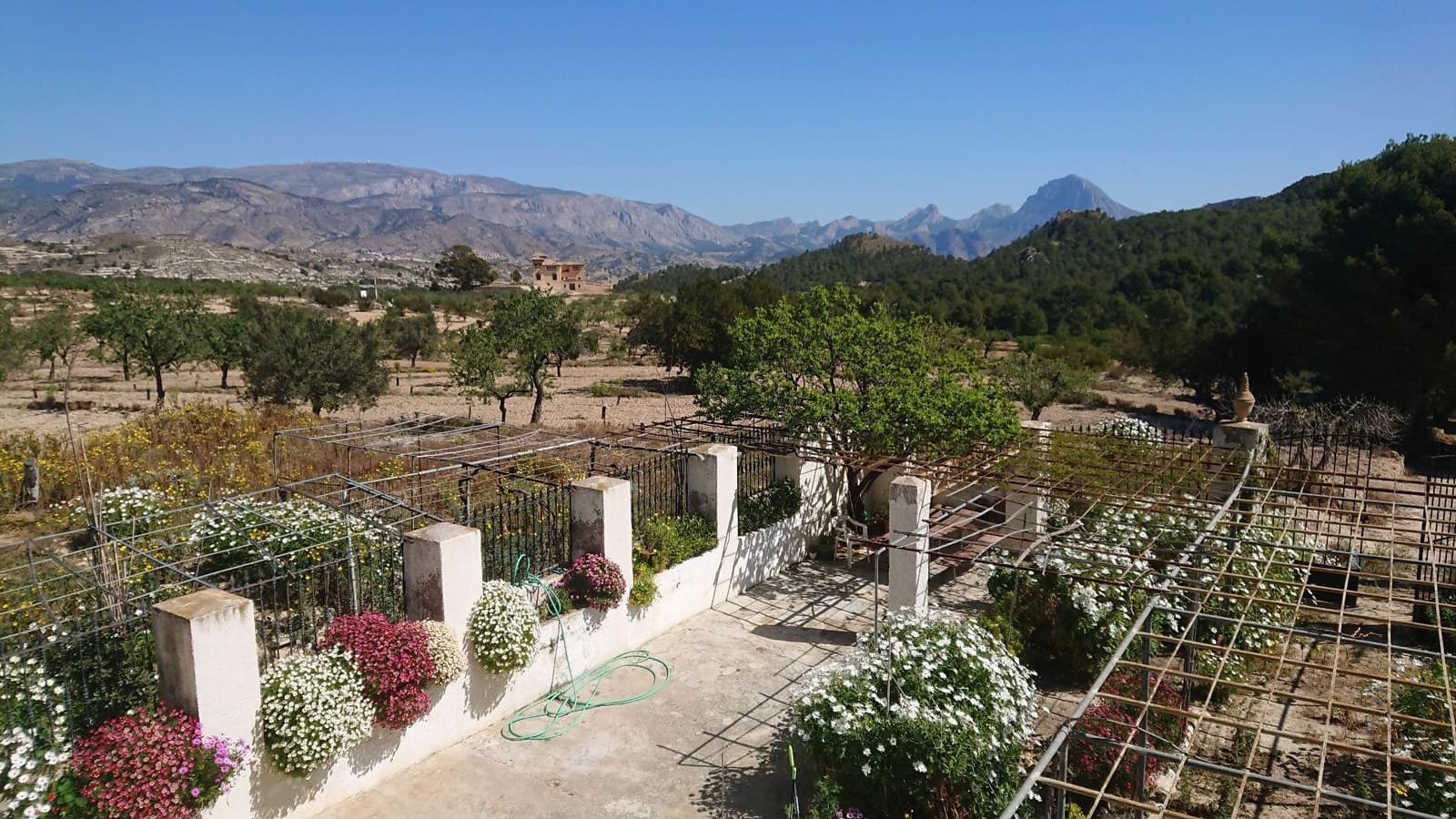 10 slaapkamer Finca/Landhuis te koop in Relleu - € 577.000 (Ref: 8789124)