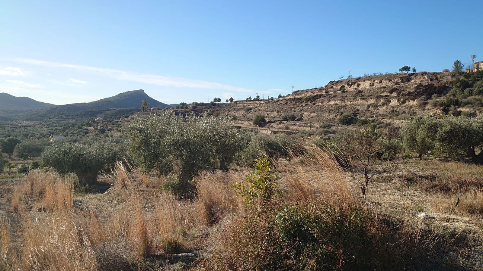 Grunde uden byggetilladelser til salg i Relleu - € 35.000 (Ref: 8821634)