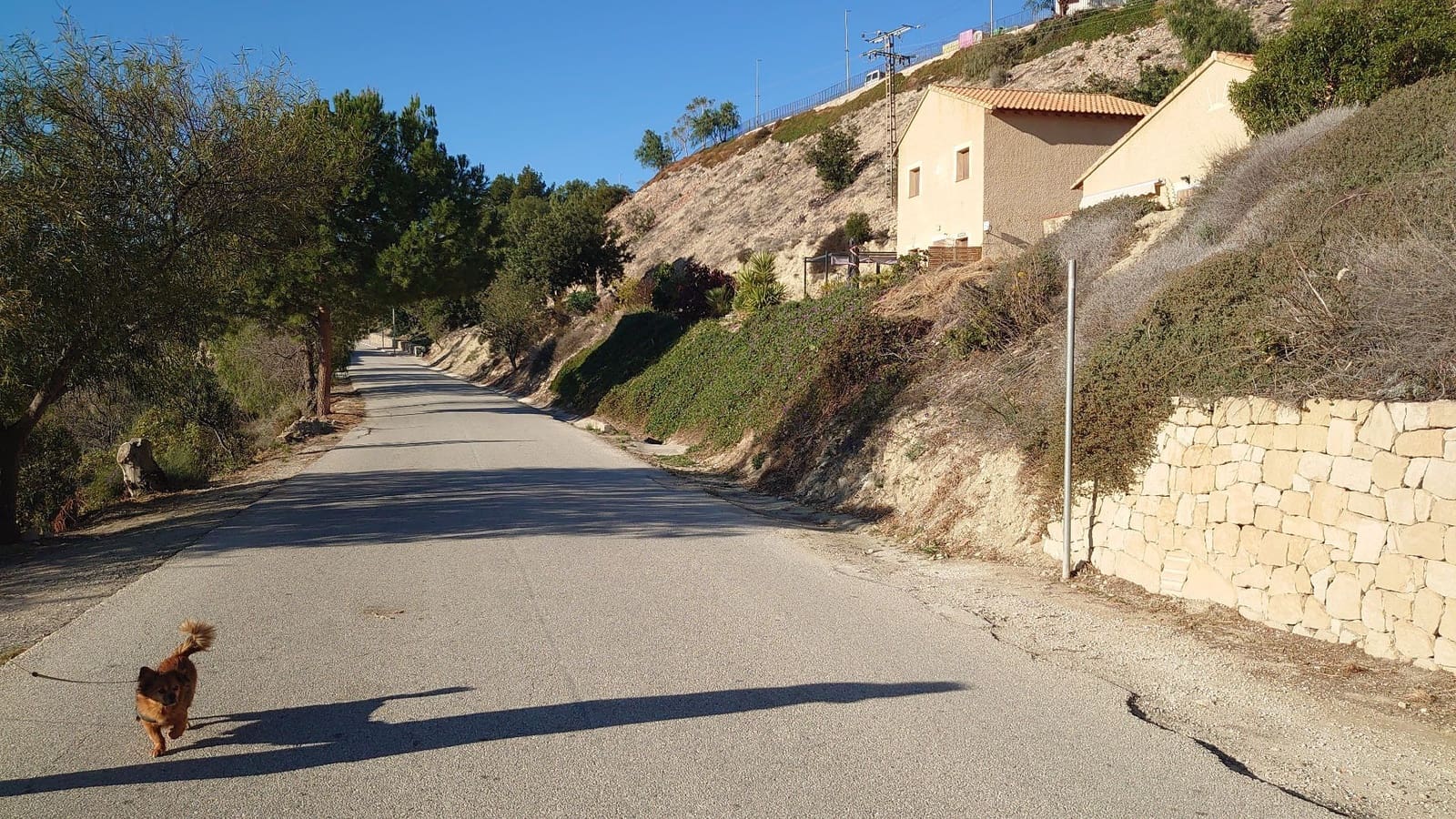 Grunde uden byggetilladelser til salg i Relleu - € 35.000 (Ref: 8821634)