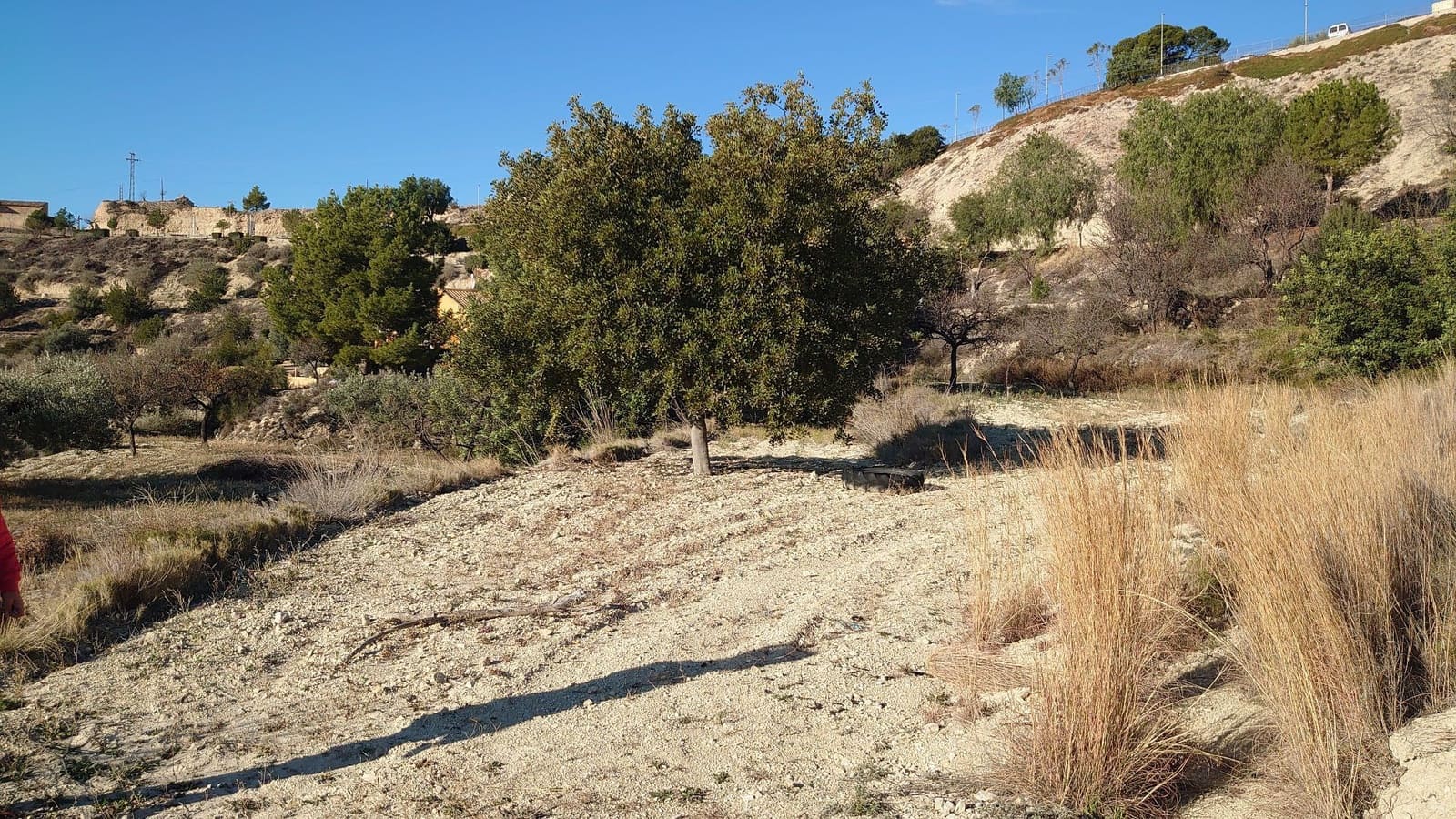 Grunde uden byggetilladelser til salg i Relleu - € 35.000 (Ref: 8821634)