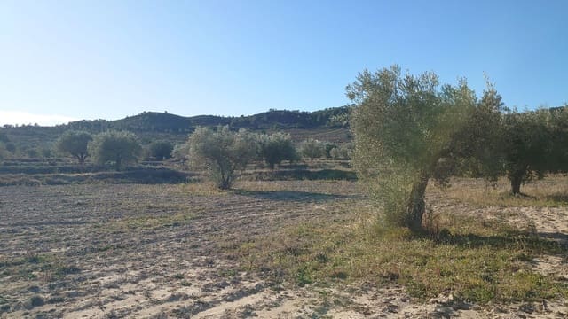 Grond te koop in Relleu - € 35.000 (Ref: 8864363)