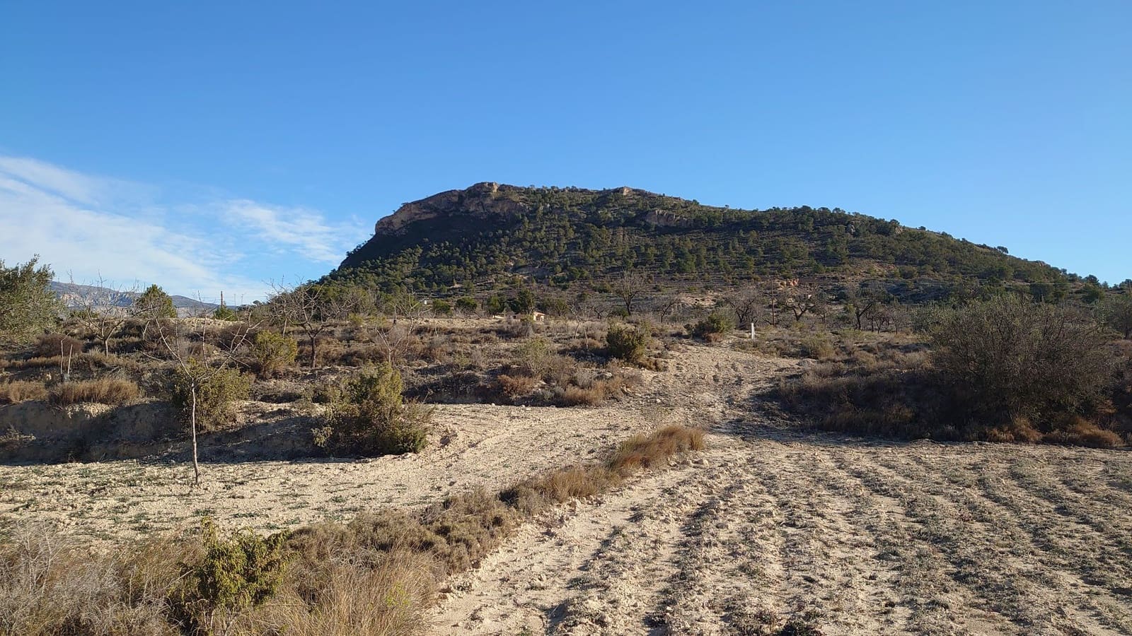 Grunde uden byggetilladelser til salg i Relleu - € 35.000 (Ref: 8864363)