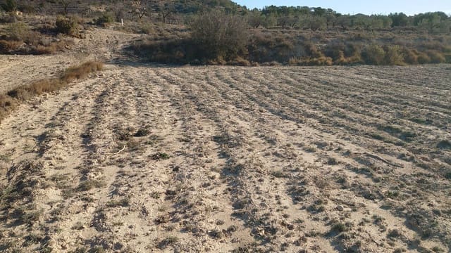 Grond te koop in Relleu - € 35.000 (Ref: 8864363)