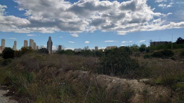 Ubebygd land til leie i La Villajoyosa / Vila Joiosa - € 5 000 (Ref: 8912690)