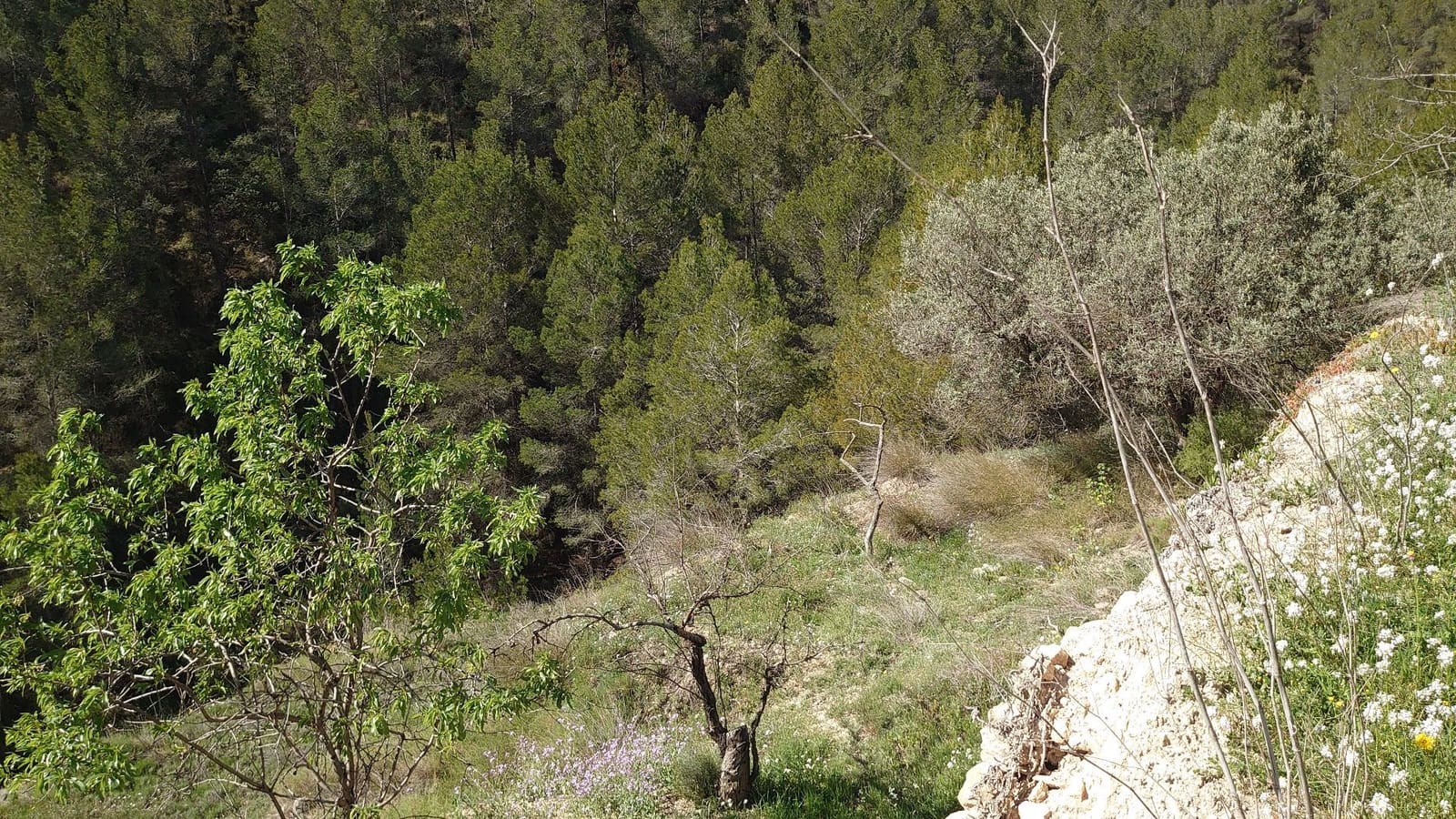 3 soveværelse Finca/Landehus til salg i Relleu - € 69.000 (Ref: 8921018)