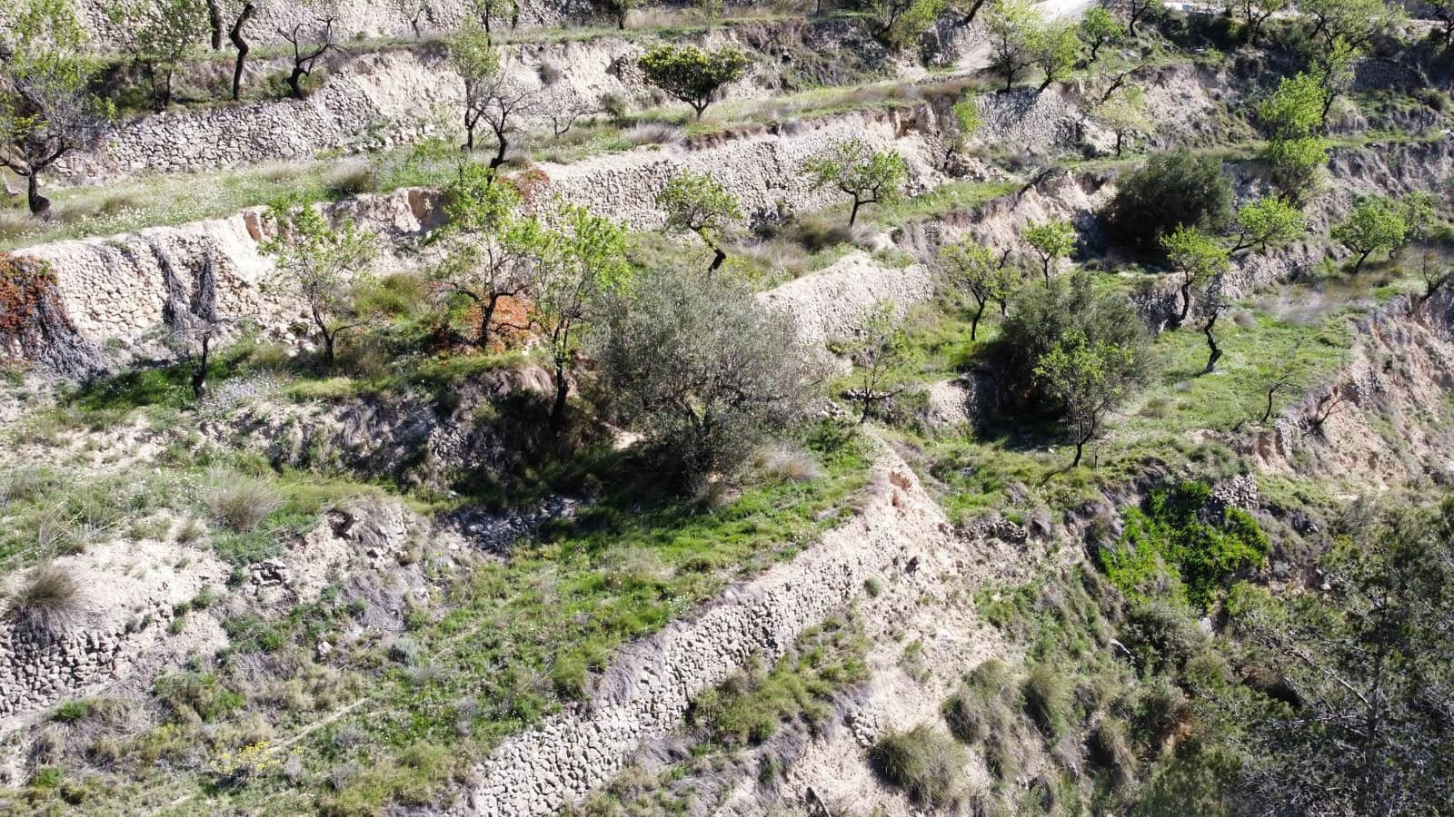 3 soveværelse Finca/Landehus til salg i Relleu - € 69.000 (Ref: 8921018)