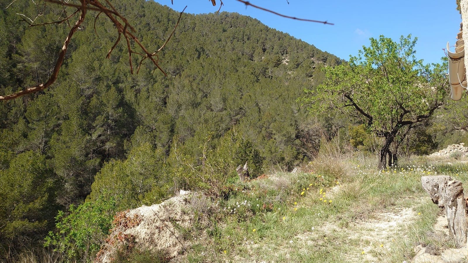 3 soveværelse Finca/Landehus til salg i Relleu - € 69.000 (Ref: 8921018)