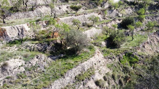 3 bedroom Finca/Country House for sale in Relleu - € 69,000 (Ref: 8921018)