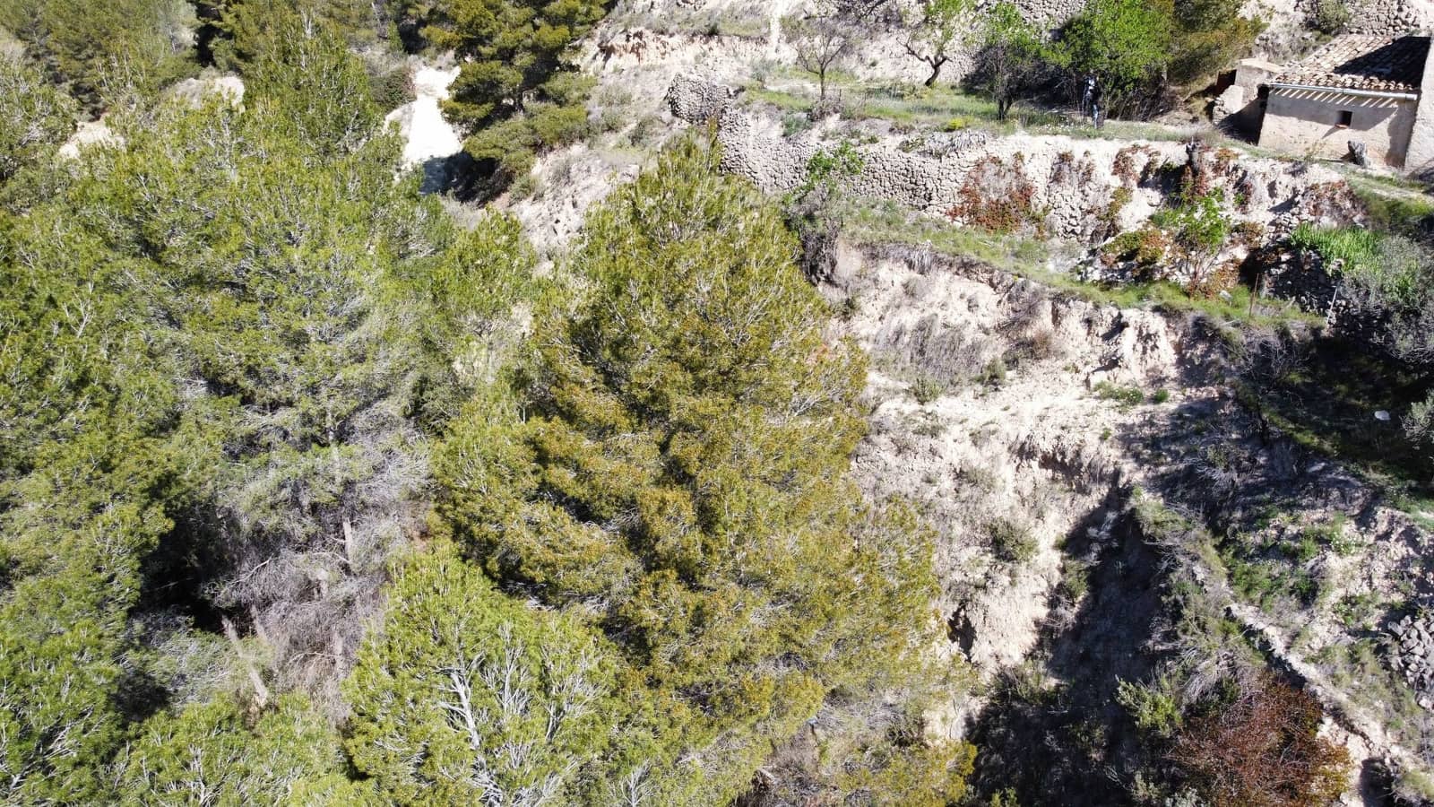 3 soveværelse Finca/Landehus til salg i Relleu - € 69.000 (Ref: 8921018)