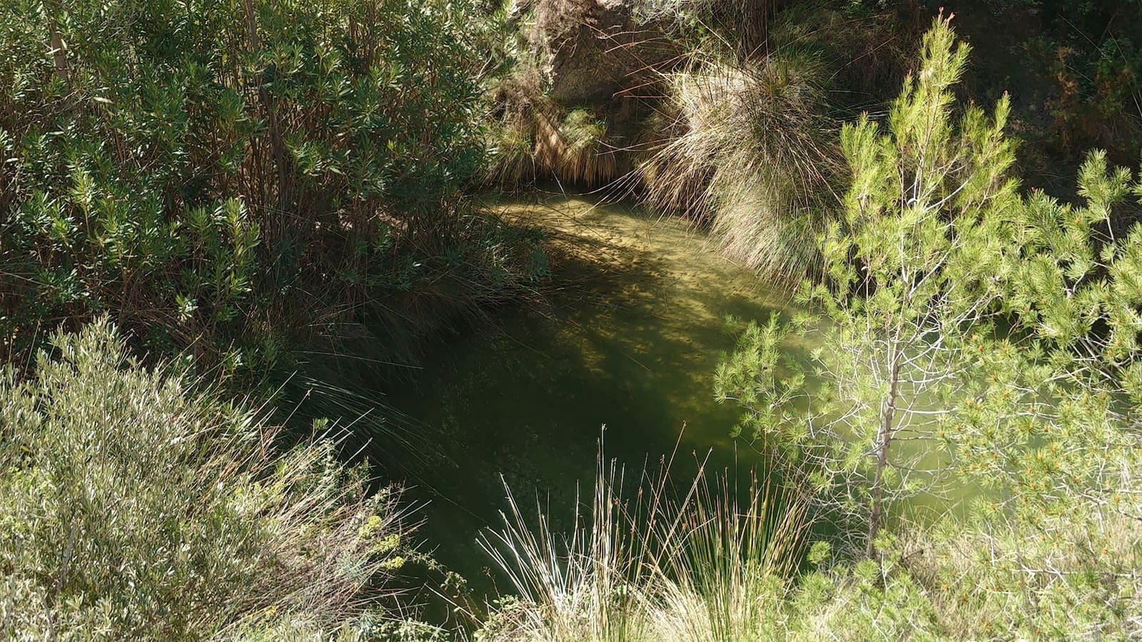 3 soveværelse Finca/Landehus til salg i Relleu - € 69.000 (Ref: 8921018)