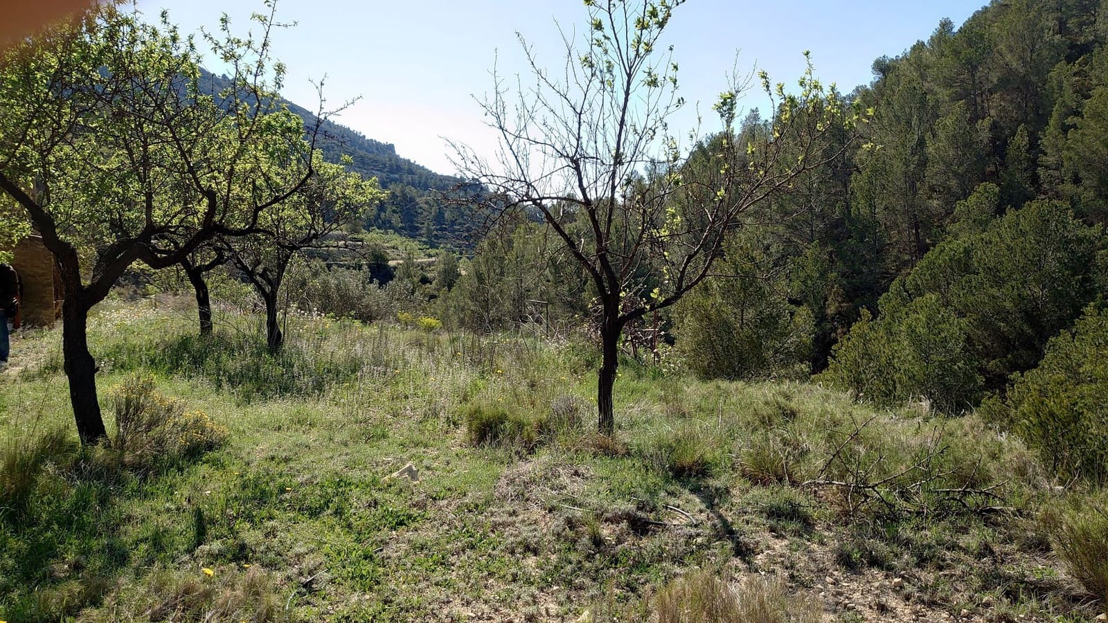 3 soveværelse Finca/Landehus til salg i Relleu - € 69.000 (Ref: 8921018)