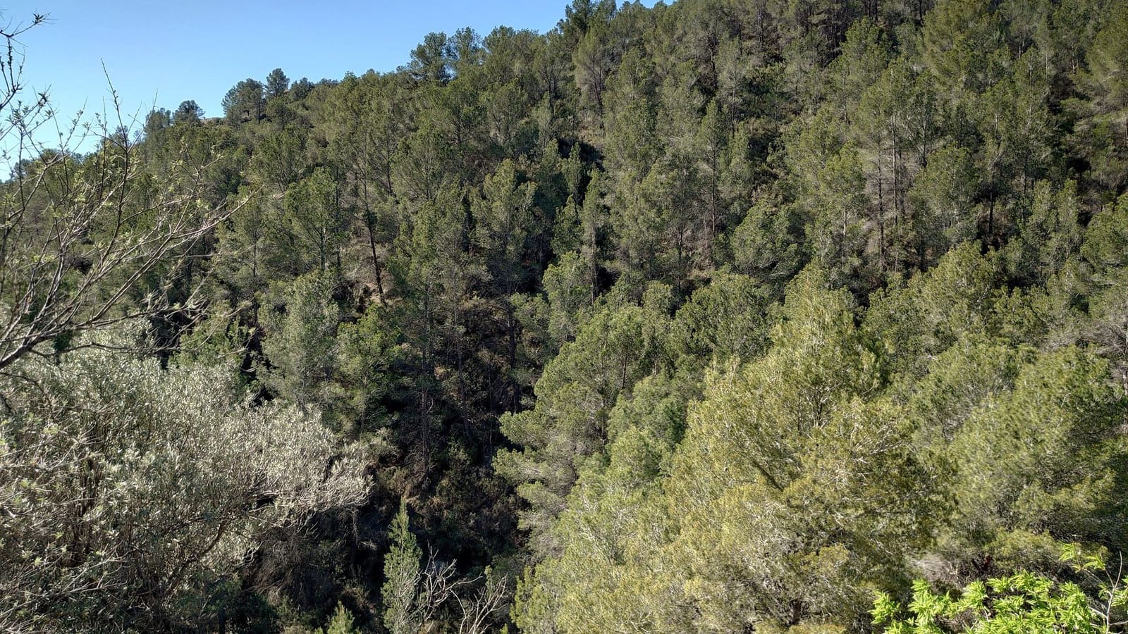 3 soveværelse Finca/Landehus til salg i Relleu - € 69.000 (Ref: 8921018)