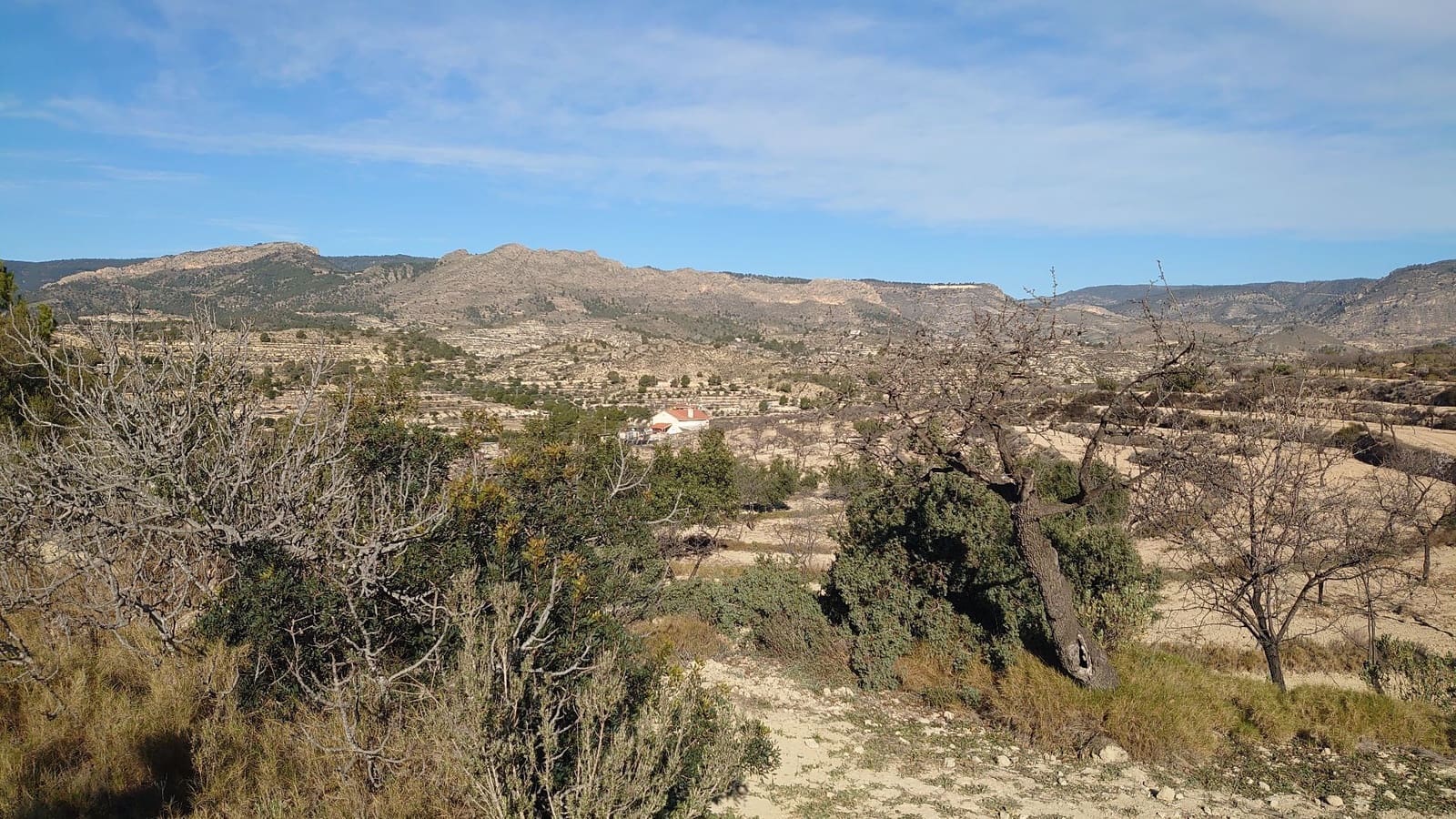 Grond te koop in Relleu - € 20.000 (Ref: 8923468)