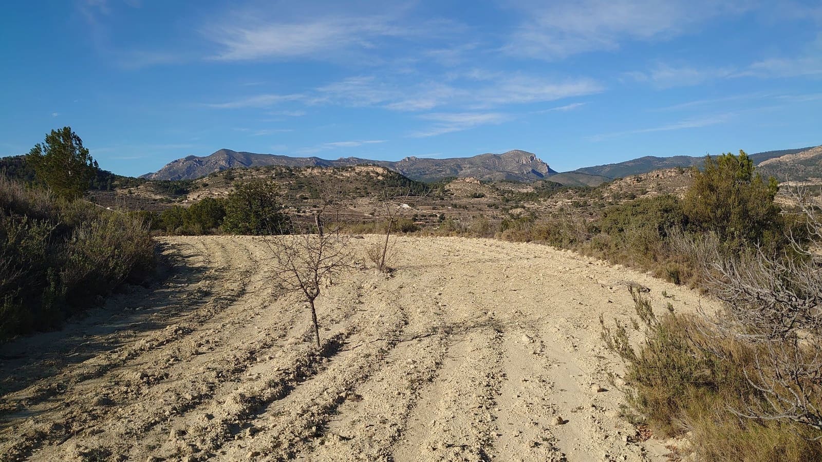 Grond te koop in Relleu - € 20.000 (Ref: 8923468)