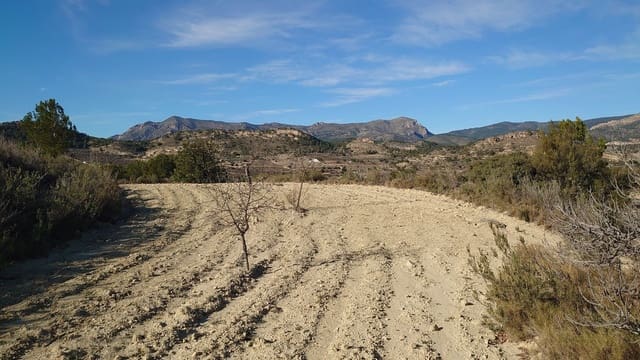 Grond te koop in Relleu - € 20.000 (Ref: 8923468)