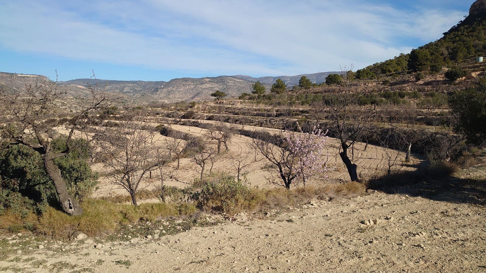 Grond te koop in Relleu - € 20.000 (Ref: 8923468)