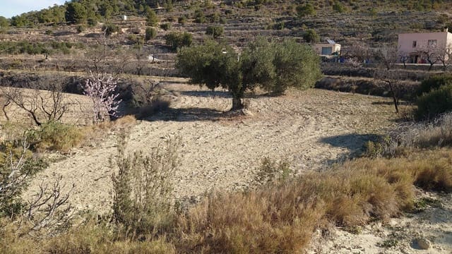 Grond te koop in Relleu - € 20.000 (Ref: 8923468)