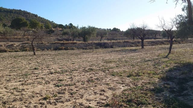 Finca/Country House for sale in Relleu - € 100,000 (Ref: 8942650)