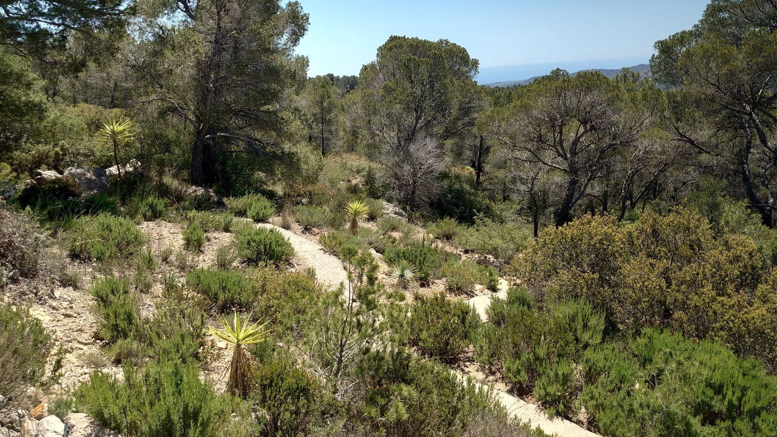 3 camera da letto Finca/Casa di Campagna in vendita in Finestrat - 369.000 € (Rif: 8969920)