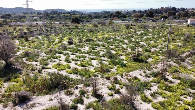 Grunde uden byggetilladelser til salg i La Villajoyosa / Vila Joiosa - € 132.000 (Ref: 8988030)