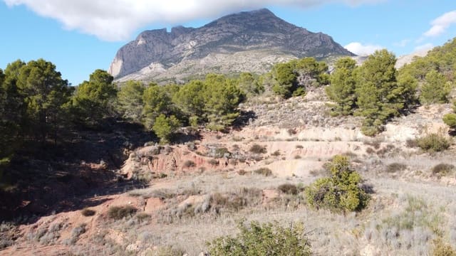 Undeveloped Land for sale in Finestrat Pueblo, Finestrat - € 150,000 (Ref: 9296621)