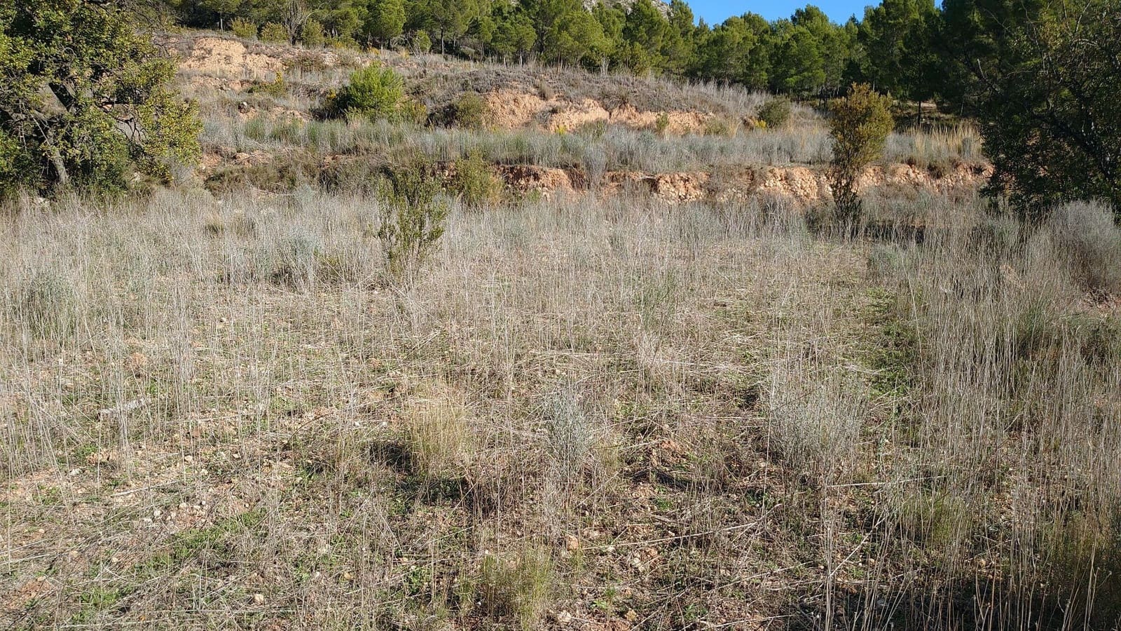 Undeveloped Land for sale in Finestrat - € 150,000 (Ref: 9296621)