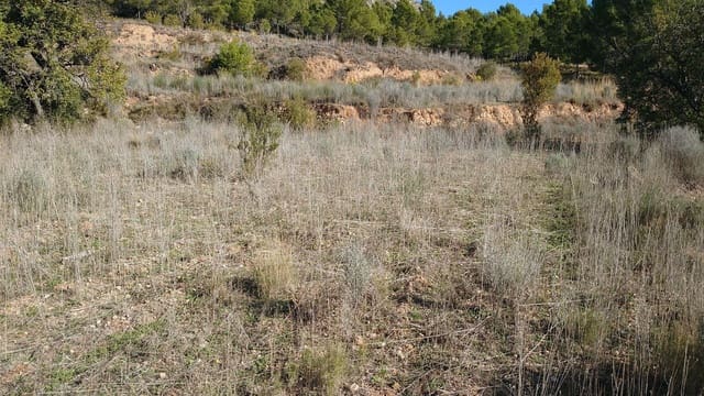 Undeveloped Land for sale in Finestrat Pueblo, Finestrat - € 150,000 (Ref: 9296621)